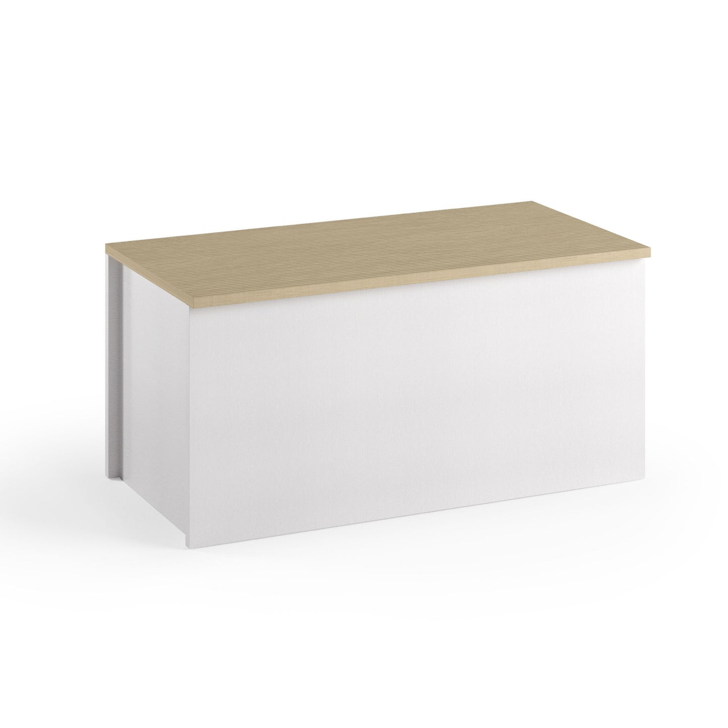 BAULE CONTENITORE CON CHIUSURA RALLENTATA